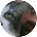 David Baity profile picture